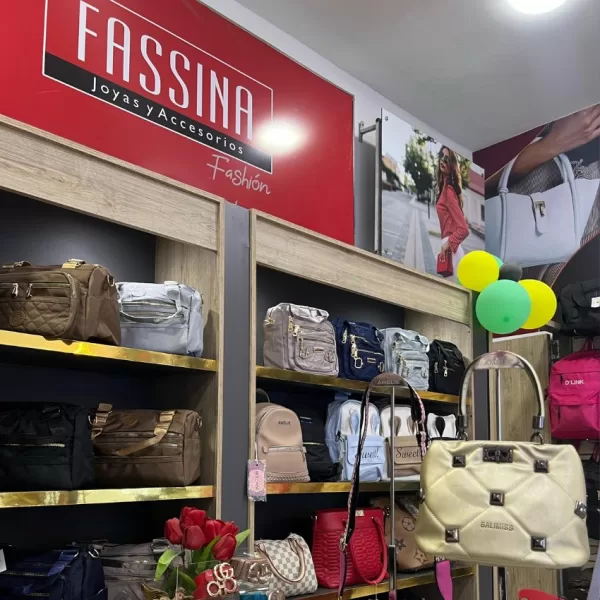 Bolsos y accesorios para mujer en Apartadó - Fassina