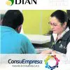 ConsuEmpresa - Asesorías DIAN