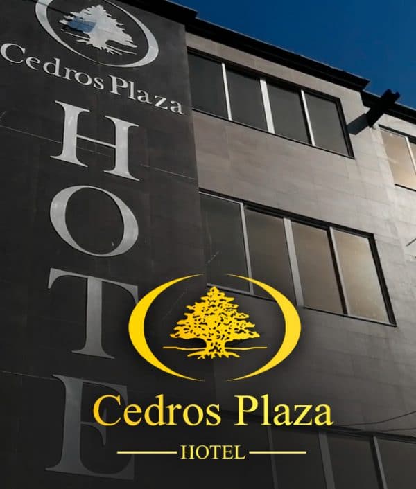 Hotel Cedros Plaza - Carepa